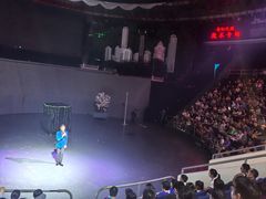 -武汉杂技厅