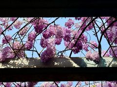 -郑和公园