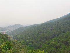 -铁山坪森林公园