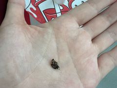 -咕噜咕噜·章鱼小丸子(广州荔湾领展广场店)