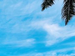 -大堂酒廊·亚龙湾万豪度假酒店