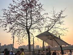 -百鱼庄(仙葫店)