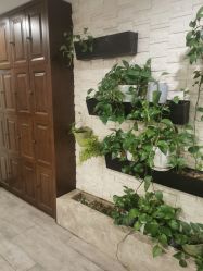 -青青一生美皮肤管理