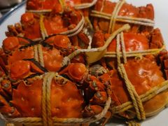 -杨氏青龙虾·羊蝎子(托乐嘉店)