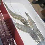 合生汇自助串串香牛五万