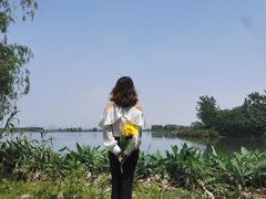 -南湖湿地公园
