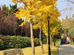 -上海市龙华烈士陵园