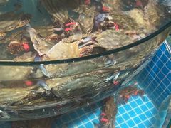 -蓝珊甄选海鲜自助·火锅大排档(近阿那亚店)