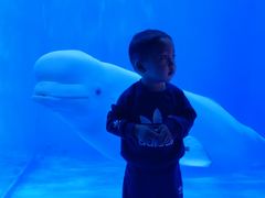 -多彩贵州城极地海洋世界