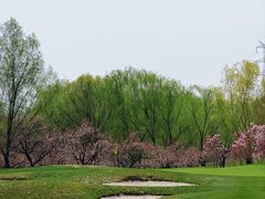 -红枫湖高尔夫俱乐部