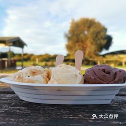 蜂蜜冰激淋