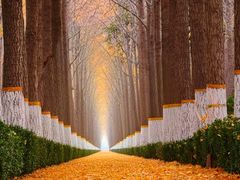 -长白岛森林公园