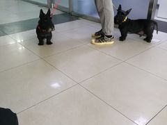 -宠颐生中康贝怡动物医院