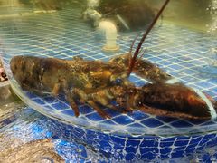 -登瀛楼饭庄(领世郡店)
