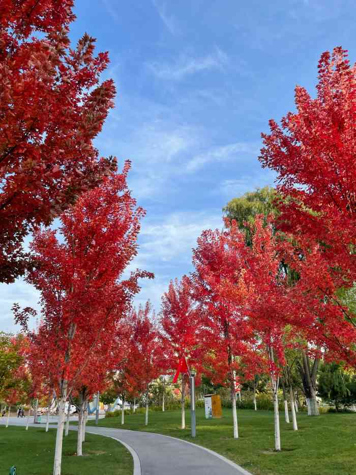 妫川广场-"疫情期间的龟川广场里面的人不是特别多.今.