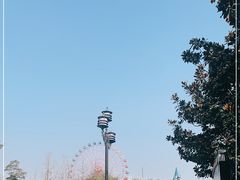 -南湖梦幻岛