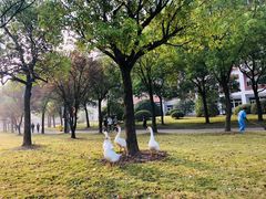 -中国计量大学(西校区)