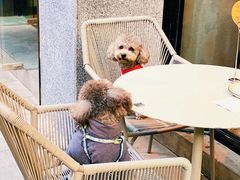 景观位-Wagas沃歌斯(大学路店)