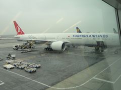 -约翰·菲茨杰拉德·肯尼迪国际机场