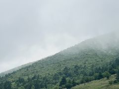 -神农架景区