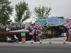 -田园东方蜜桃村的田野营地