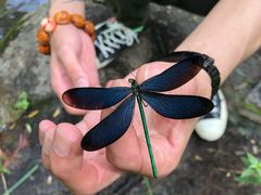 -碓臼峪自然风景区