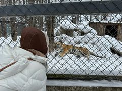 -横道河子东北虎林园