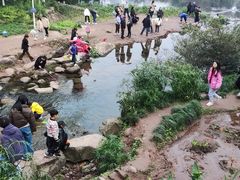 -重庆彩云湖湿地公园