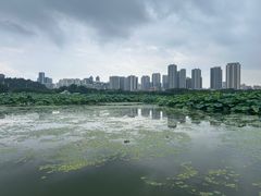 -月湖风景区