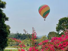-中国科学院西双版纳热带植物园