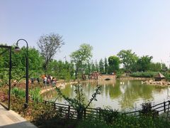 -田园东方蜜桃村的田野营地