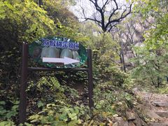 -大岭沟猕猴桃谷风景区