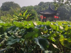 -丝绸小镇荻港古村