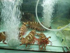 -班赞海鲜市场胖阿姨加工点