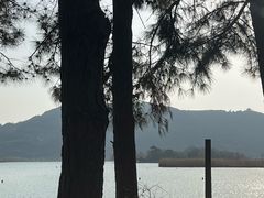 -南北湖风景区