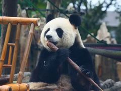 -大连森林动物园