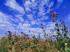 -龙里油画大草原旅游区
