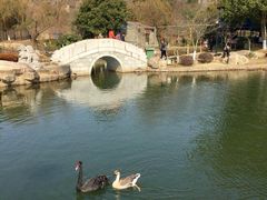 -白马涧龙池景区