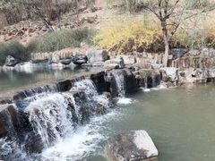 -北京西山国家森林公园