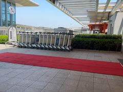 -青岛胶东国际机场