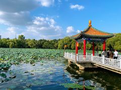 -长春市南湖公园