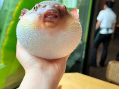 -永安鱼庄·镇江菜(东吴路店)