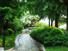 -菖蒲河公园