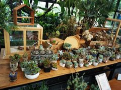 -北马山庄植趣咖啡