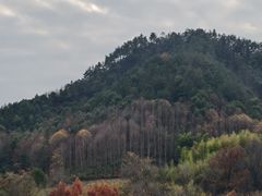 -渔梁坝