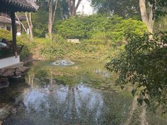 -上海醉白池公园