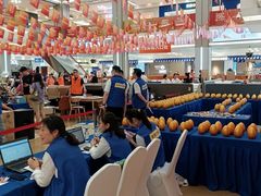 -红星美凯龙(浦江店)