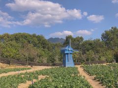 -广州市流溪河国家森林公园