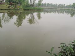 -九科绿洲