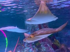 -沈阳海洋探索中心